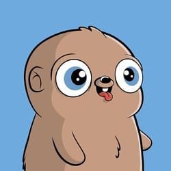Token